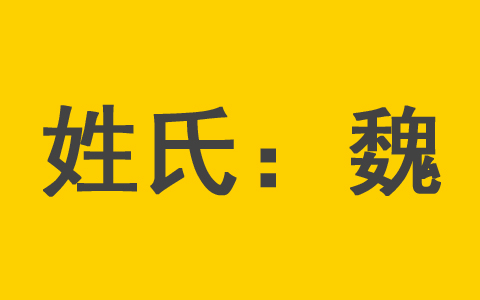 魏姓刚出生的婴儿起男孩名字大全 魏姓兔年女宝宝起什么名字好