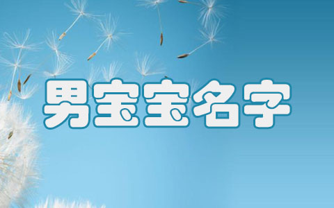 龙年子时出生的男孩取名字大全 2024年属龙男孩最吉利的名字